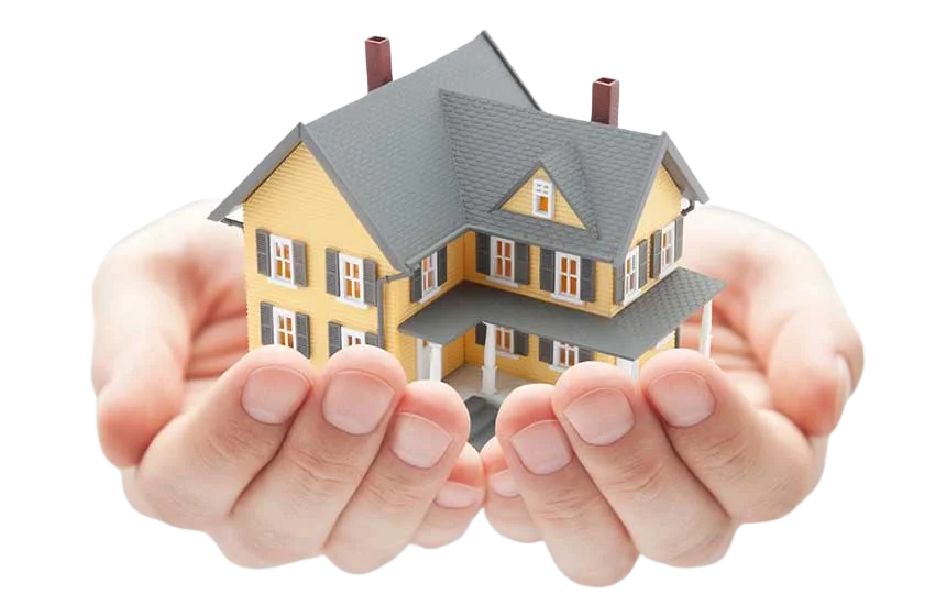 Villa Renovation Specialist