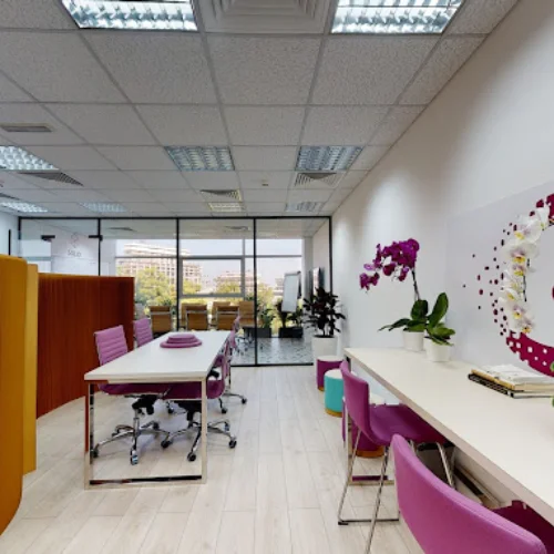 apartment renovation companies​